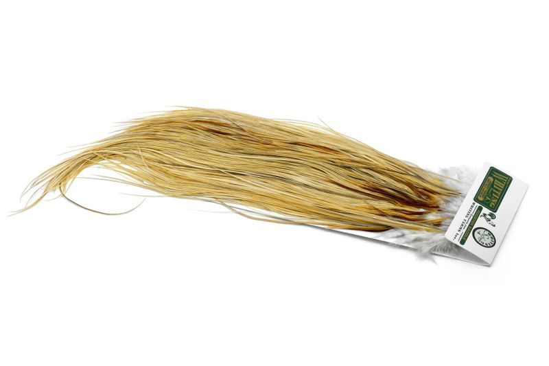 Whiting Hebert Rooster Saddle – Silver â€“ dealerweb-cms-9336d67d-fb4b-42ea-b1ab-4329ed9cbdb9.jpg