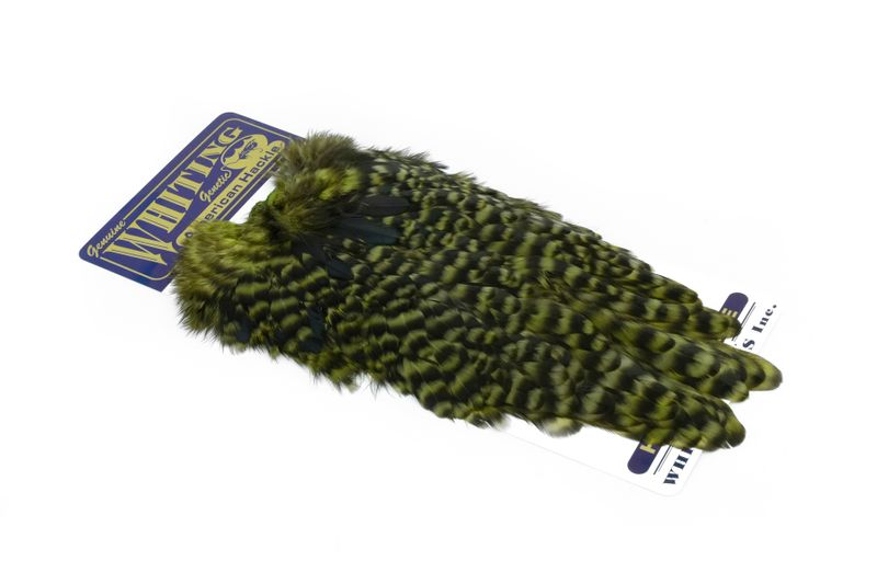 Whiting American Hen Saddle â€“ dealerweb-cms-946f538a-bf5c-4064-8e37-caa617c0ba59.jpg