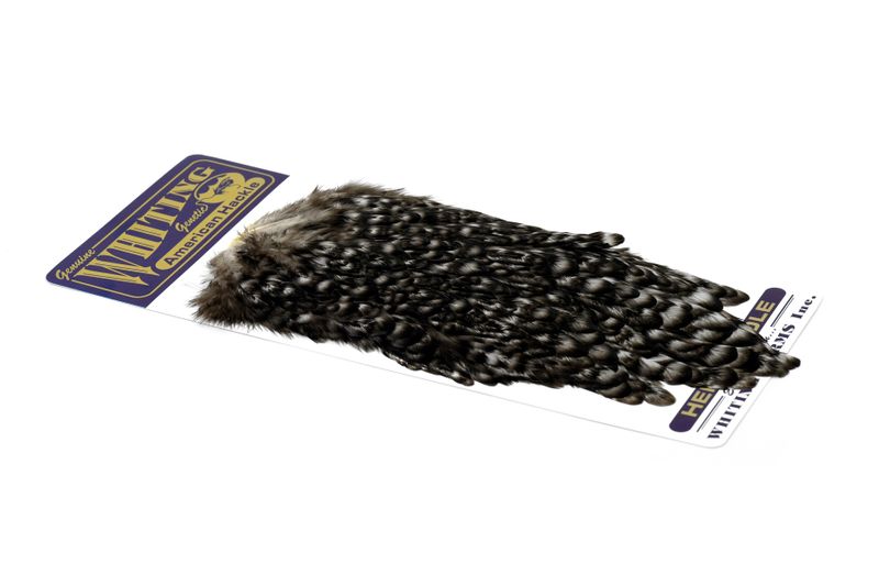 Whiting American Hen Saddle â€“ dealerweb-cms-94fd09e8-4a3b-4651-9af3-e59644153c06.jpg
