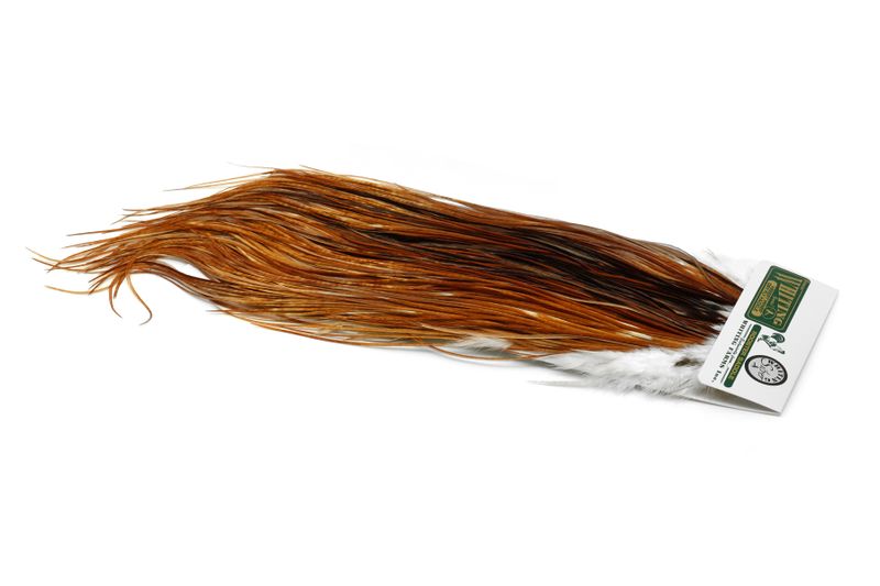 Whiting Hebert Rooster Saddle – Silver â€“ dealerweb-cms-95442280-84a7-4759-b9ce-da02d3cd9286.jpg