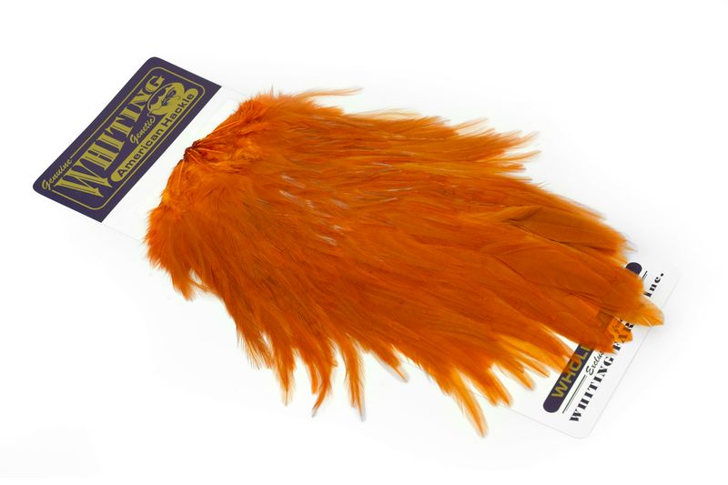 Whiting American Rooster Saddle â€“ dealerweb-cms-9645aab4-1a60-4571-a591-fb84b24b3310.jpg