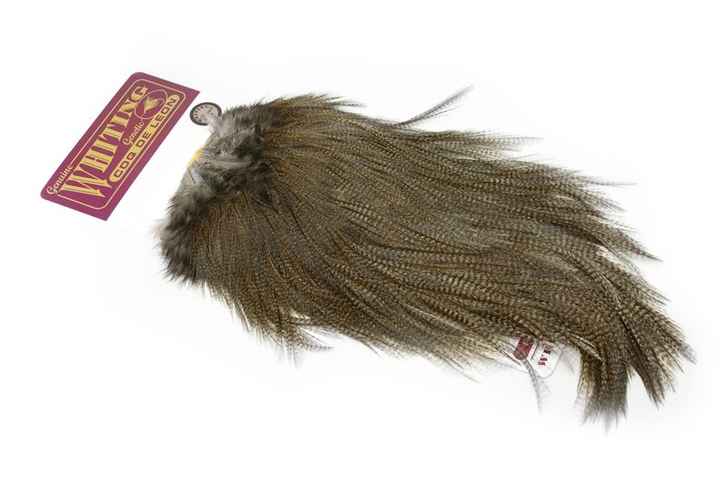 Whiting Coq de Leon Rooster Saddle – Gold â€“ dealerweb-cms-96a50c72-3034-4386-bdb1-9854a5eb5e0f.jpg