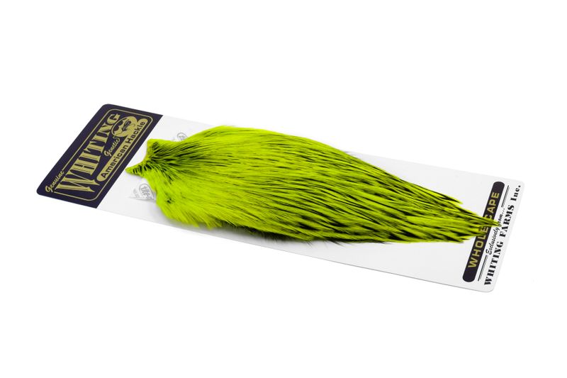 Whiting American Rooster Cape â€“ dealerweb-cms-9823dd73-8281-4d85-a4f2-f47836eee0d3.jpg