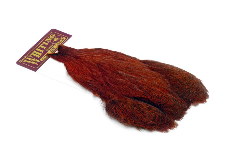 Whiting Coq de Leon Hen Cape â€“ dealerweb-cms-9f685273-cd03-4054-ba2f-530c6b3bb63b.jpg