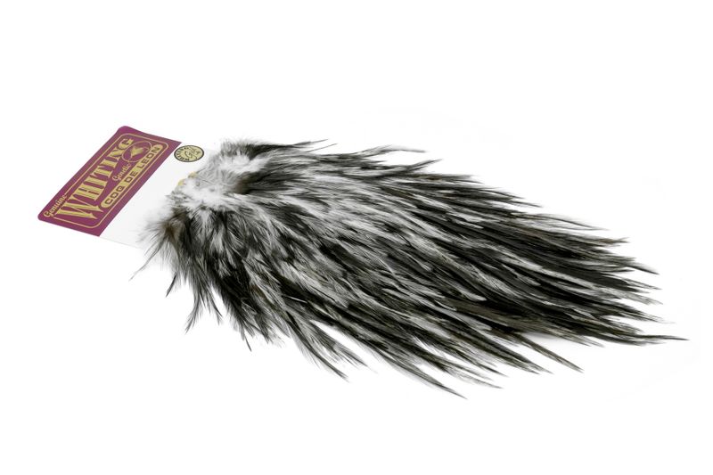 Whiting Coq de Leon Rooster Saddle – Gold â€“ dealerweb-cms-9febd961-2c45-4d10-9626-f0041db029bc.jpg