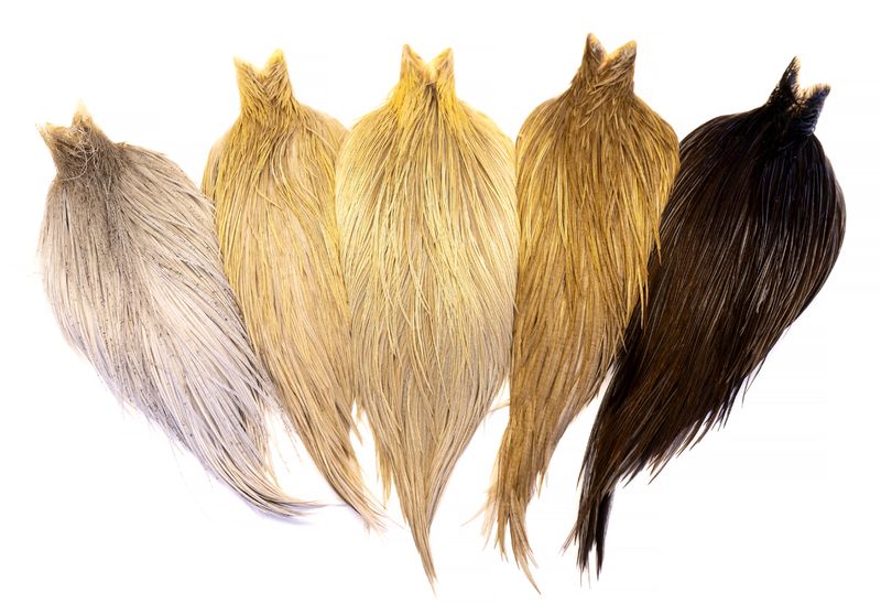 Whiting Heritage Rooster Cape â€“ dealerweb-cms-a0d0a7d5-302a-4ada-ad3e-d72d3722a7c5.jpg