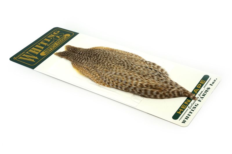 Whiting Hebert Hen Cape â€“ dealerweb-cms-a10913d1-113b-4326-a82a-495803cba122.jpg