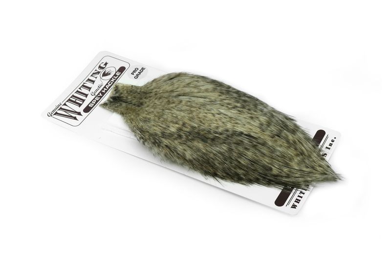 Whiting Spey Hackle Rooster Cape – Pro Grade â€“ dealerweb-cms-a30c4640-a595-43a5-81aa-778eef7a950d.jpg