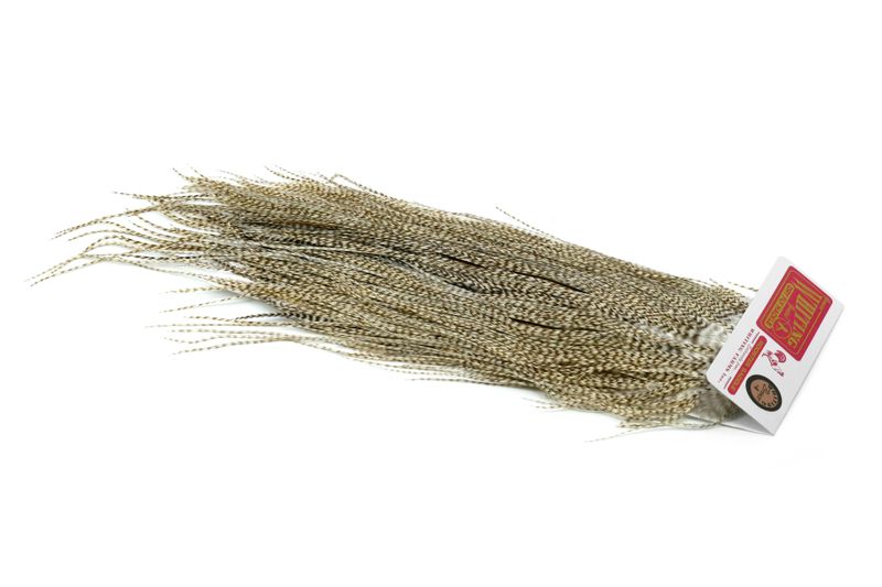 Whiting Gold Midge Saddle â€“ dealerweb-cms-a4cf7de8-8b1a-4d9d-a42a-edd29d6be742.jpg