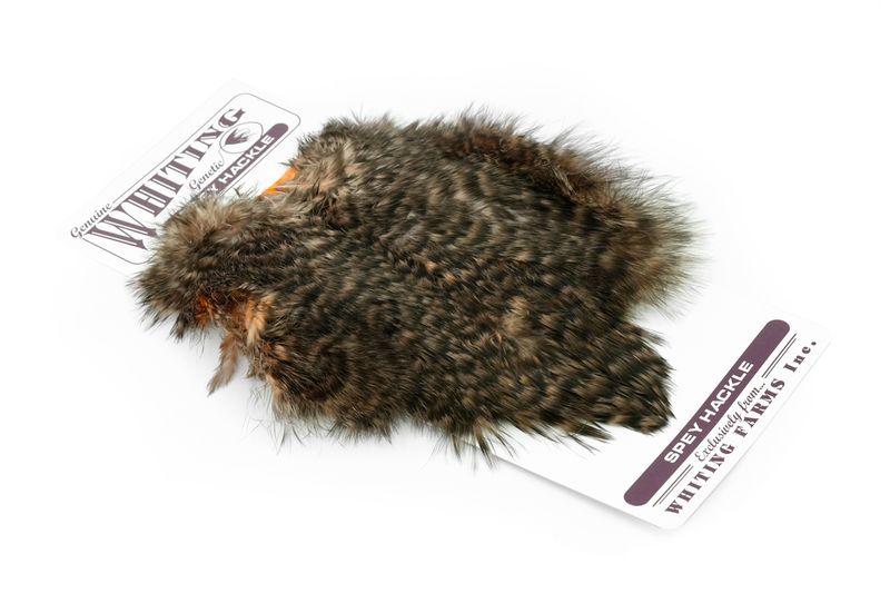 Whiting Spey Hackle Hen Saddle â€“ dealerweb-cms-a5596673-e081-4f09-aafd-a32c1def051e.jpg