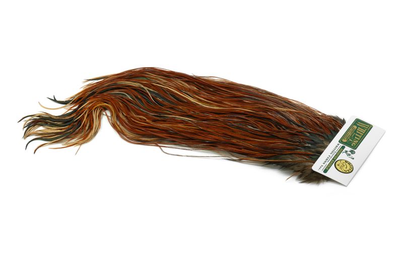 Whiting Hebert Rooster Saddle – Gold â€“ dealerweb-cms-a73a9773-50af-4c1a-9998-8fb92c9d788d.jpg