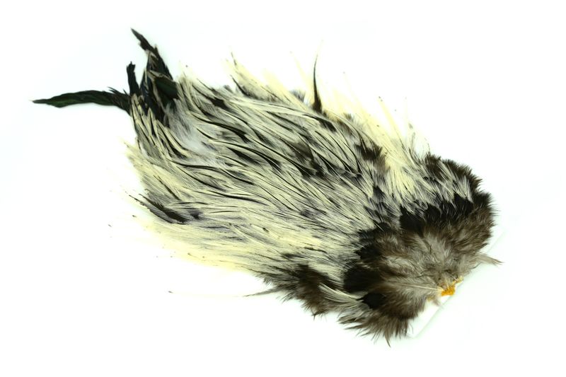 Whiting 4 B's Rooster Saddle â€“ dealerweb-cms-ac0812a4-d577-4ac1-b592-d453a3a32e23.jpg