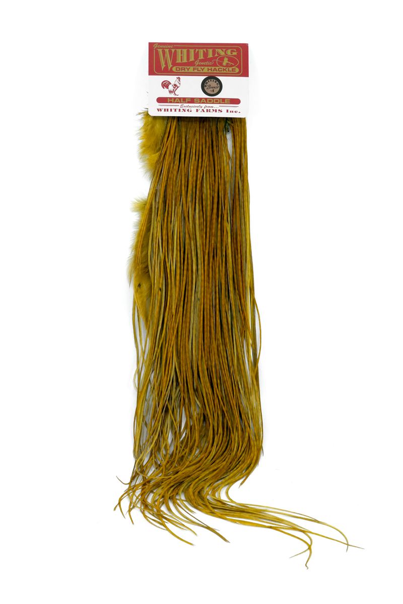 Whiting Rooster 1/2 Saddle – Bronze â€“ dealerweb-cms-ac6f65a9-ad48-4723-a3d0-2fb9693b38dc.jpg