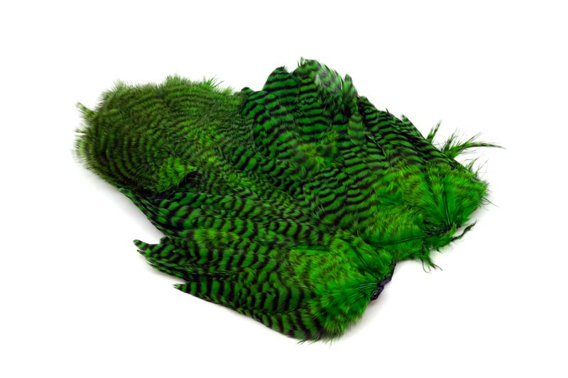 Whiting Rooster SH/C â€“ dealerweb-cms-acf87d0d-8660-454f-948d-a64417d82fdc.jpg