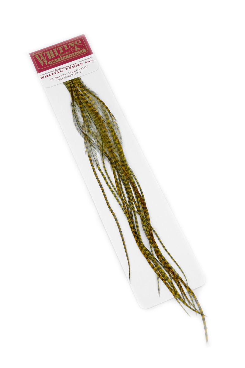 Whiting 100-pk – Size 20 â€“ dealerweb-cms-adcb3162-ee19-482e-a349-62556af78ce0.jpg