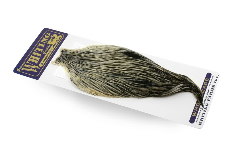 Whiting American Rooster Cape â€“ dealerweb-cms-ae6fe9a9-f5d0-4be3-ba66-248f71e4589e.jpg