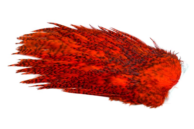Whiting 4 B's Rooster Saddle â€“ dealerweb-cms-af8ab155-7920-4f69-8161-221053204bfd.jpg