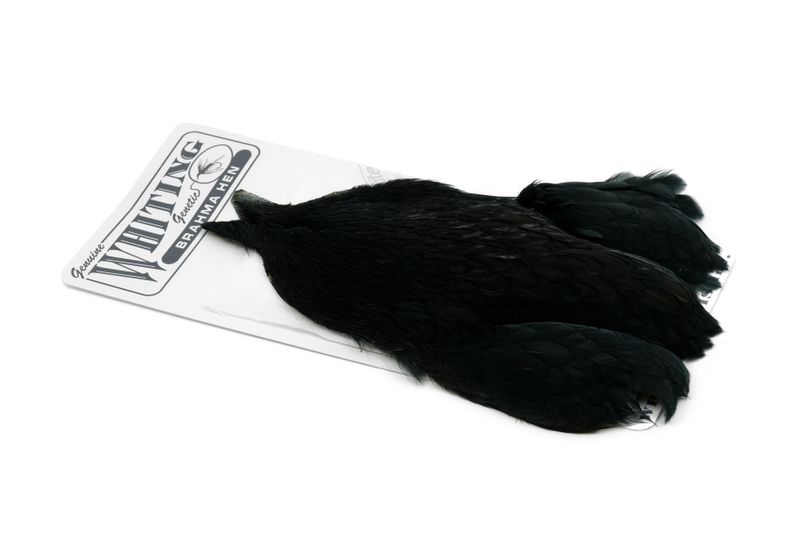 Whiting Brahma Hen Cape â€“ dealerweb-cms-aff36916-cdd2-44ab-b21e-e1ea65854167.jpg