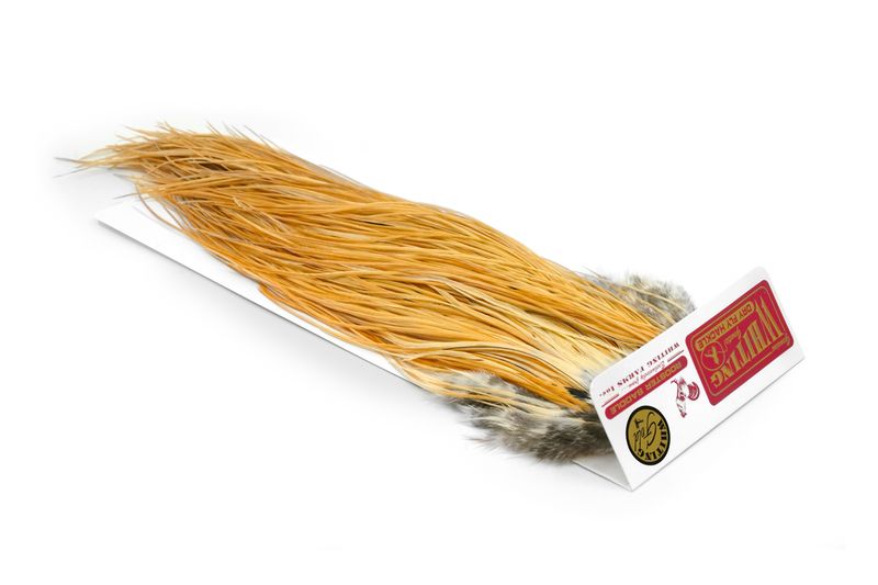 Whiting Rooster Saddle – Gold â€“ dealerweb-cms-b28cdd1e-ee6f-4115-b20b-840b5ff78ca2.jpg