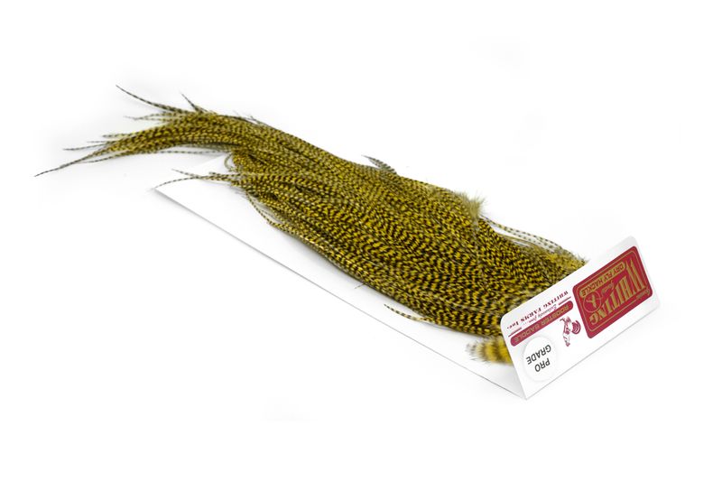 Whiting Rooster Saddle – Pro Grade â€“ dealerweb-cms-b3947b99-56f9-4b2e-afc8-a5cc5e0f16c0.jpg