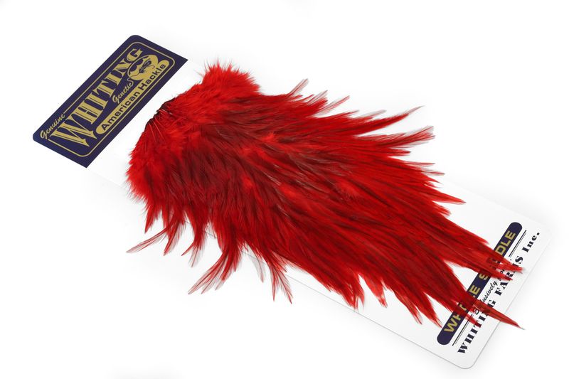 Whiting American Rooster Saddle â€“ dealerweb-cms-b4d5b5ab-4490-4660-8b4d-12cf50032490.jpg