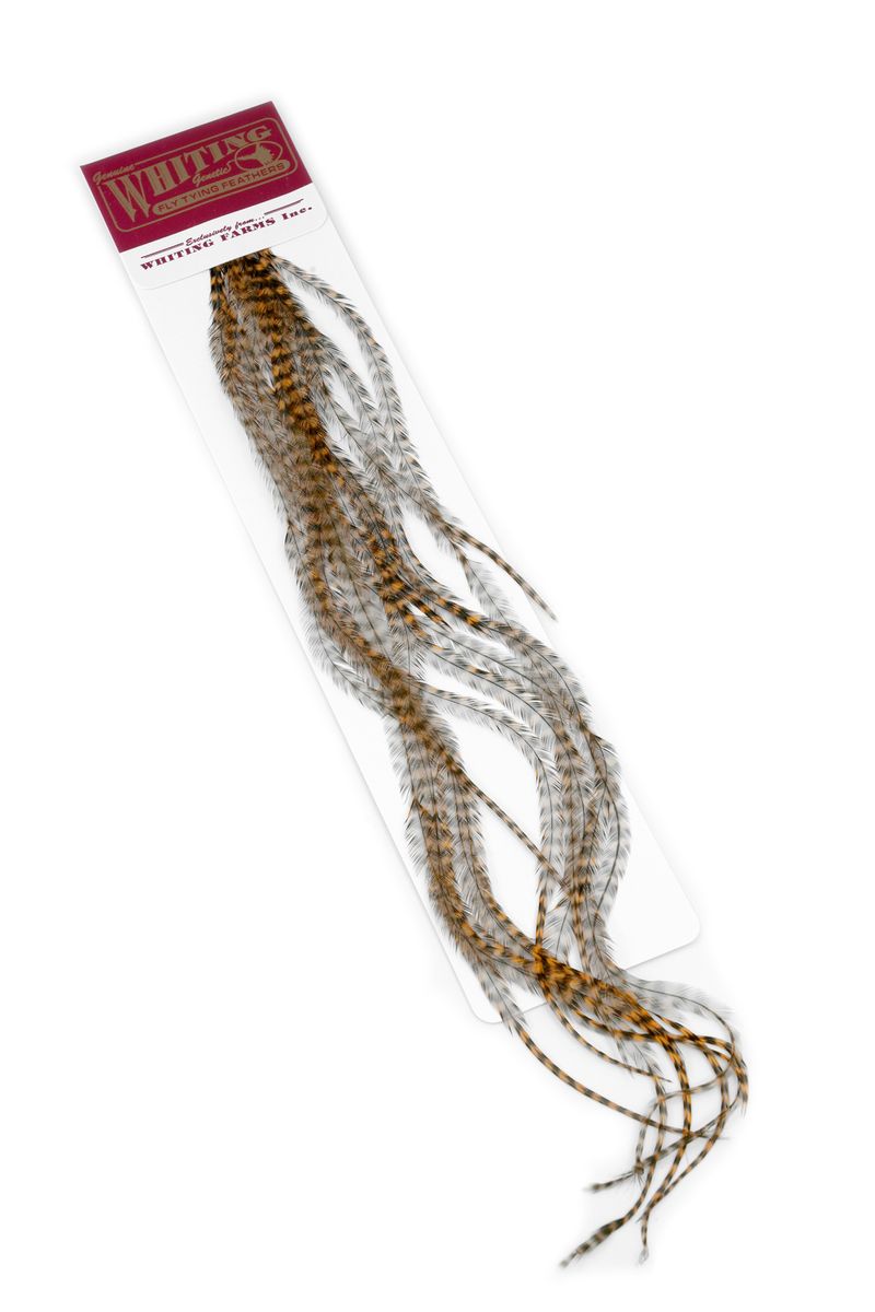 Whiting 100-pk – Size 20 â€“ dealerweb-cms-b51a10d3-7a7e-4ef0-a694-183b63a97106.jpg