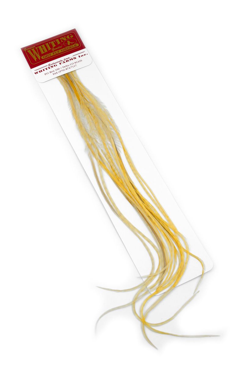 Whiting 100-pk – Size 18 â€“ dealerweb-cms-b61c3882-d083-4956-a493-642c8820f0f3.jpg