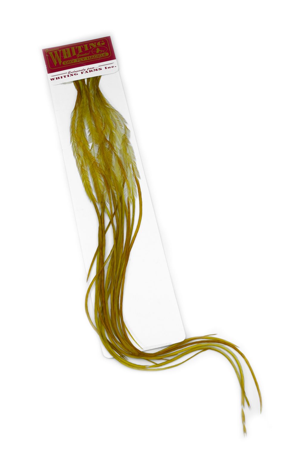 Whiting 100 Pack - White Perfect for flatwing sandpipers 