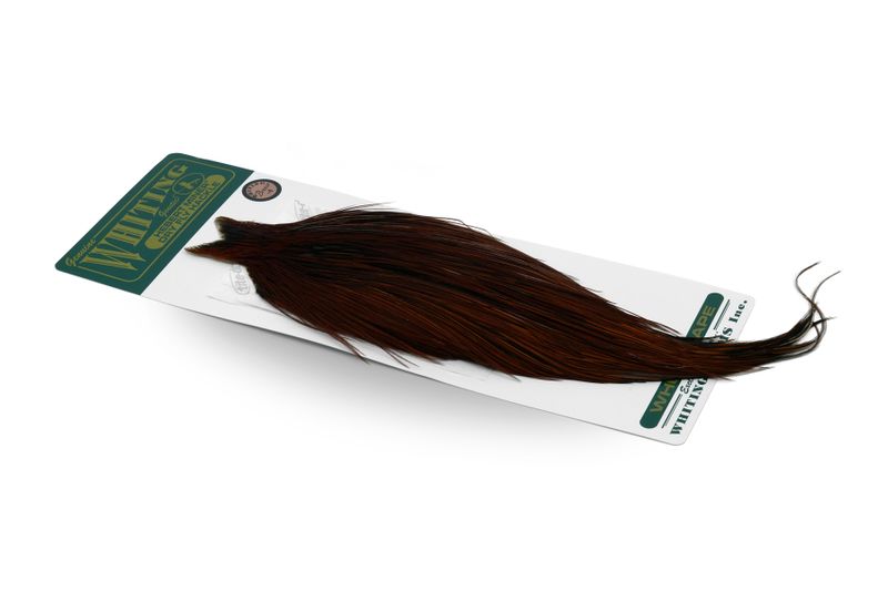 Whiting Hebert Rooster Cape – Bronze â€“ dealerweb-cms-b97b9ab3-9df5-46a3-a88f-9f83755d2ed8.jpg
