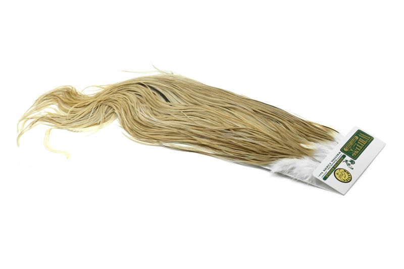 Whiting Hebert Rooster Saddle – Gold â€“ dealerweb-cms-ba840367-b045-44b7-8b3f-39393c18ed03.jpg