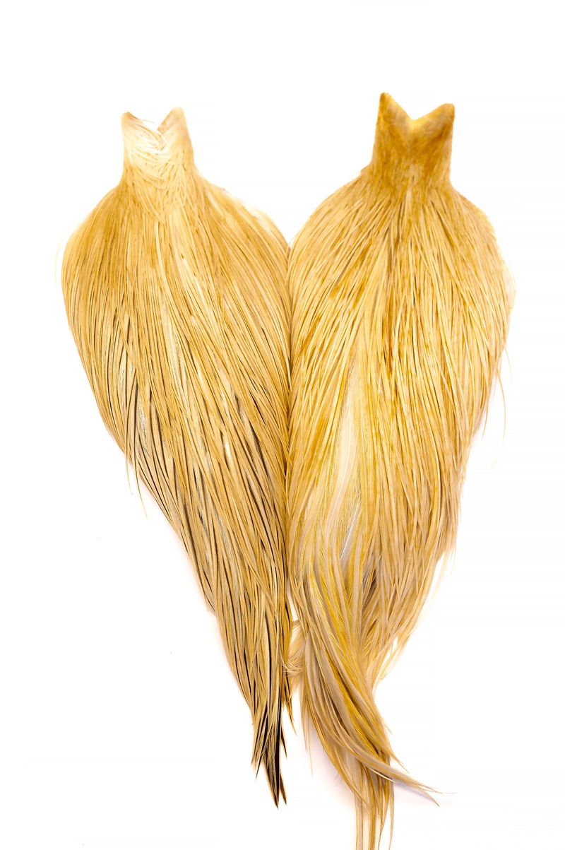 Whiting Heritage Rooster Cape â€“ dealerweb-cms-bc45dc15-aac3-46ae-993b-2e01b89ff40f.jpg