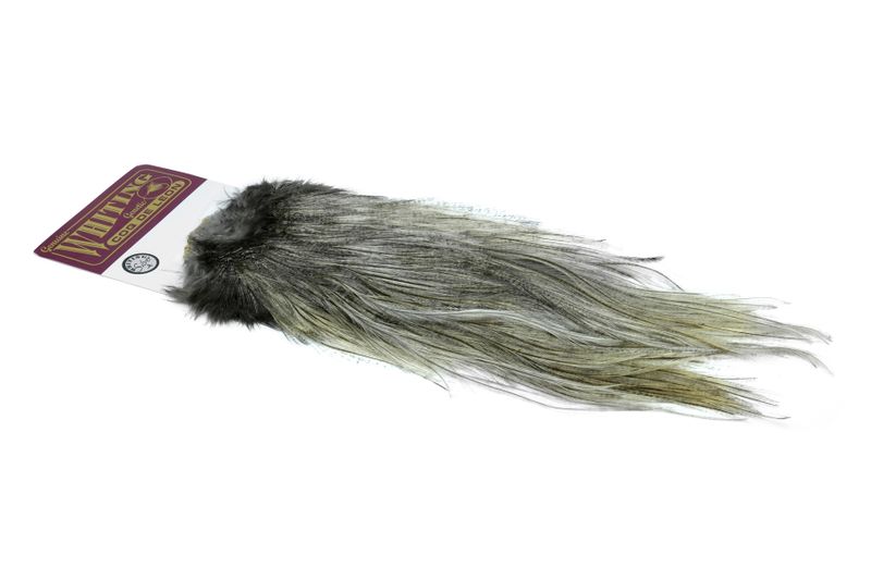 Whiting Coq de Leon Rooster Saddle – Silver â€“ dealerweb-cms-bcdc657d-6592-461e-8bb2-bebdd2561fdc.jpg