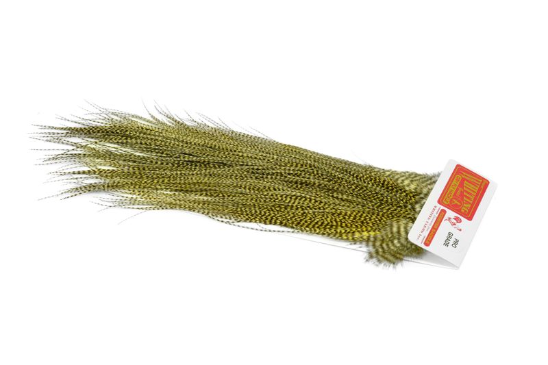 Whiting Pro Grade Midge Saddle â€“ dealerweb-cms-be7f338b-9231-4988-972a-d4d0b3c30d15.jpg