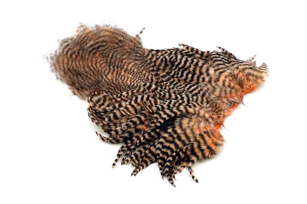 Whiting Rooster Softhackle W Chickabou SH/C Grizzly salmon pink