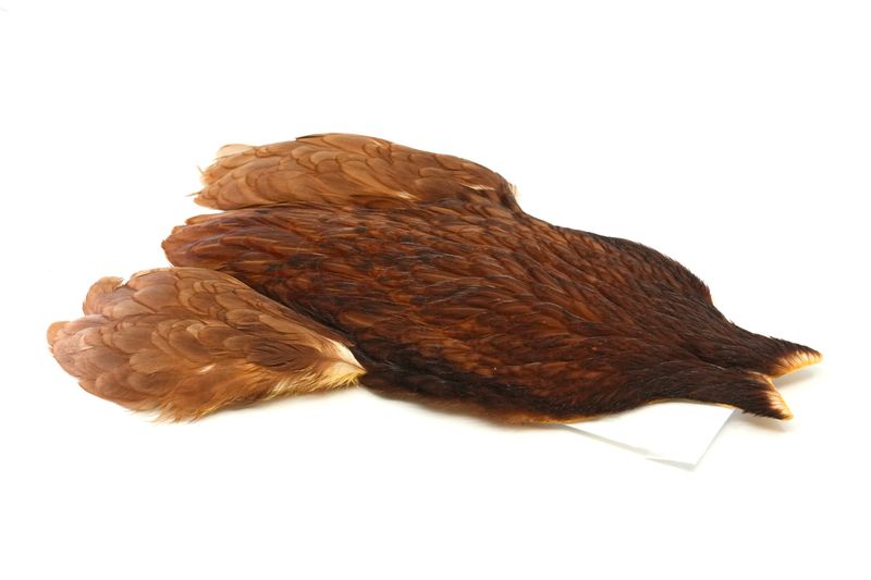 Whiting 4 B's Hen Cape â€“ dealerweb-cms-bf1d6007-77c6-496f-ae61-d3693ba7a6da.jpg