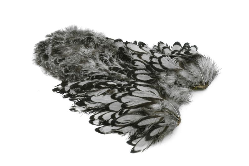 Whiting American Hen SH/C â€“ dealerweb-cms-bf206285-9df1-4c05-bcd0-a768de88816b.jpg