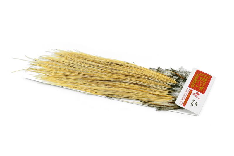 Whiting Pro Grade Midge Saddle â€“ dealerweb-cms-bf3ba0c1-6ead-46d8-8f93-a70322f56cd7.jpg