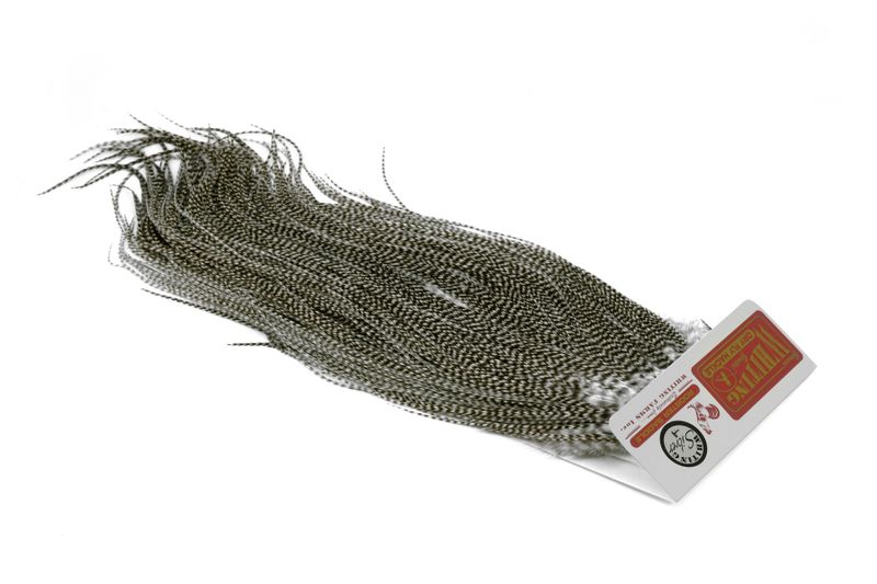 Whiting Rooster Saddle – Silver â€“ dealerweb-cms-c0713d6e-4553-43f5-ae71-2f9dfa1cc6af.jpg