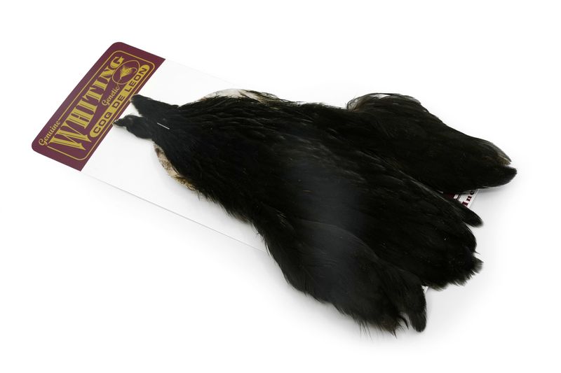 Whiting Coq de Leon Hen Cape â€“ dealerweb-cms-c0d2aa85-955f-46bd-9253-66ebde382b54.jpg