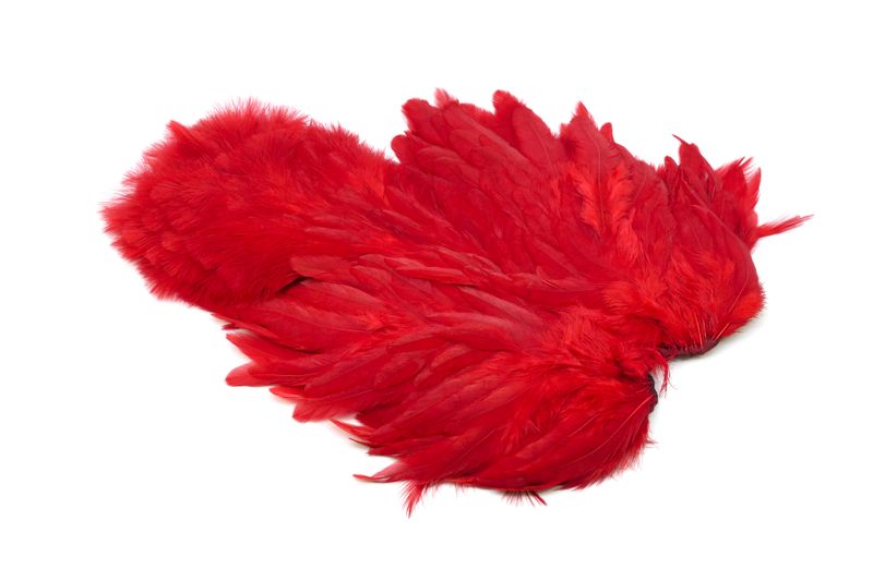 Whiting American Hen SH/C â€“ dealerweb-cms-c16fbe86-1640-4320-8d4f-f89e7bfc3398.jpg