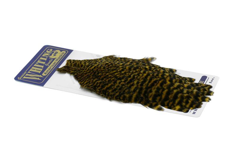 Whiting American Hen Cape â€“ dealerweb-cms-c1a7ba6a-81d1-4261-9233-c1b2298c0b4b.jpg