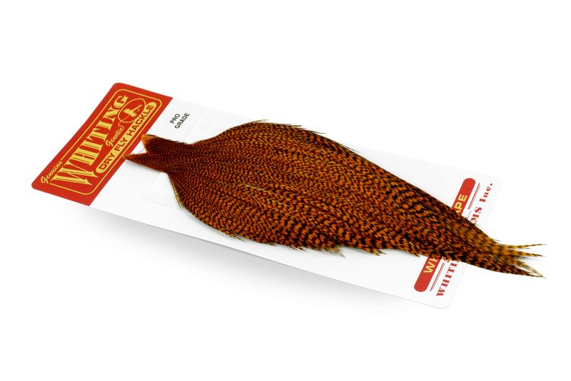 Whiting Rooster Cape – Pro Grade â€“ dealerweb-cms-c1b90309-edf8-4d98-8d24-a352681f9e75.jpg
