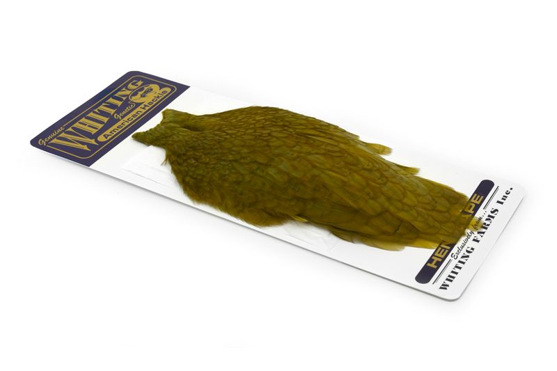 Whiting American Hen Cape â€“ dealerweb-cms-c3adf7b4-aa1f-494c-b6aa-f6ed0c238d00.jpg