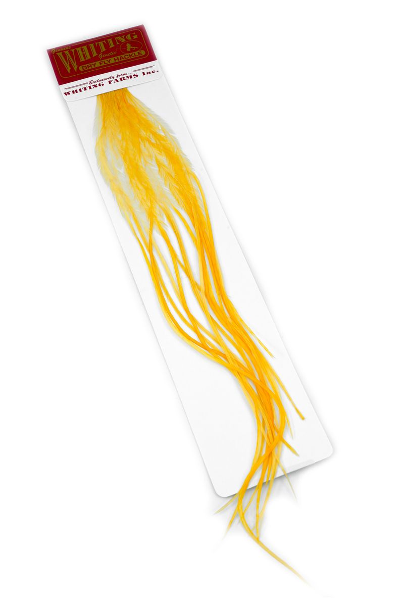 Whiting 100-pk – Size 16 â€“ dealerweb-cms-c51c193c-9696-4fc7-be8a-0745c01d9d20.jpg