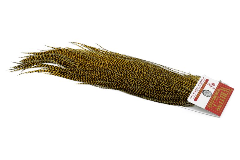 Whiting Silver 1/2 Saddle â€“ dealerweb-cms-c5c469ff-82c3-4fba-accb-7d56735ccf36.jpg