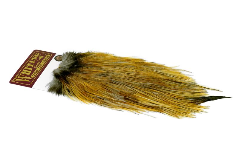 Whiting Coq de Leon Rooster Saddle – Bronze â€“ dealerweb-cms-c65163f8-3dd7-4353-82f8-157c403c5a1b.jpg