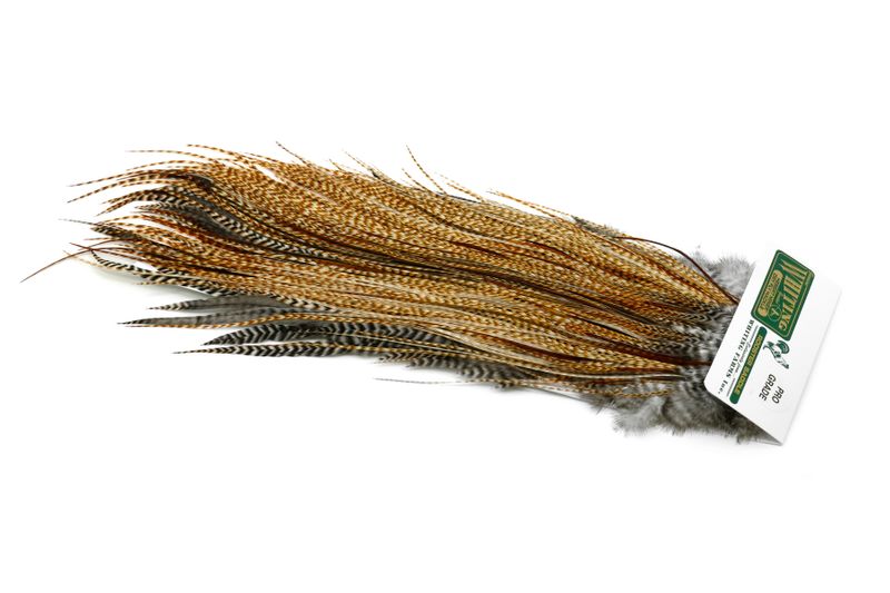 Whiting Hebert Rooster Saddle – Pro Grade â€“ dealerweb-cms-c67ec6c1-ade4-46ee-a594-26c4262051fd.jpg
