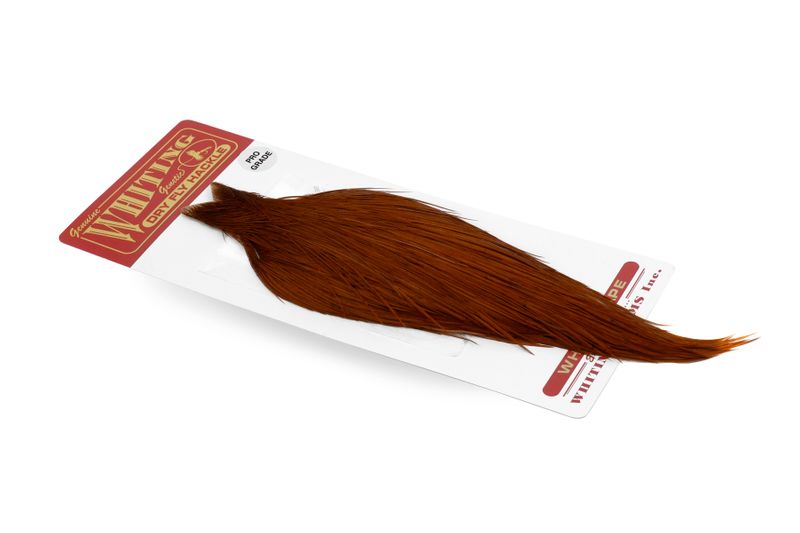 Whiting Rooster Cape – Pro Grade â€“ dealerweb-cms-c6fa061c-80b0-4f74-99dd-eef7b84b211b.jpg