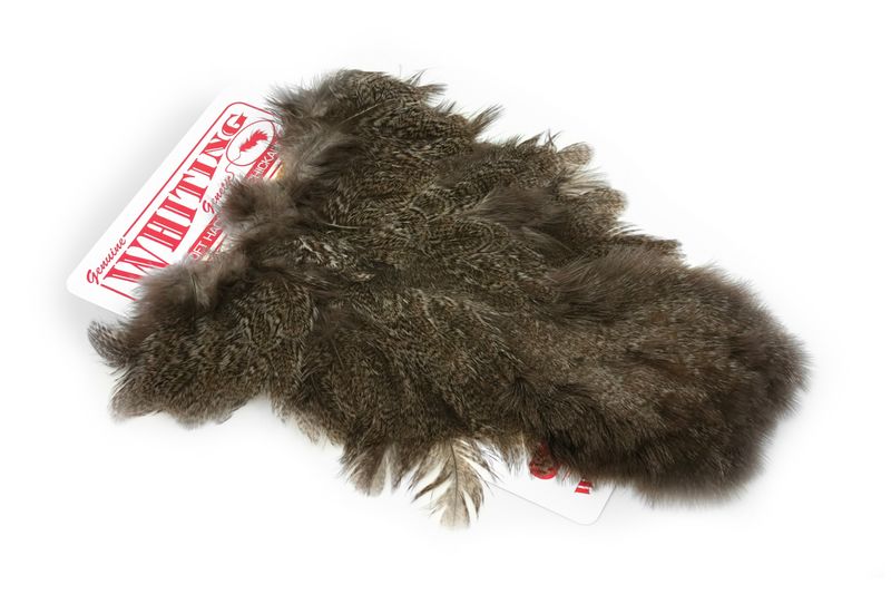 Whiting Coq De Leon Hen SH/C â€“ dealerweb-cms-cc2e2e66-8c8d-478d-8807-6331aff0c444.jpg