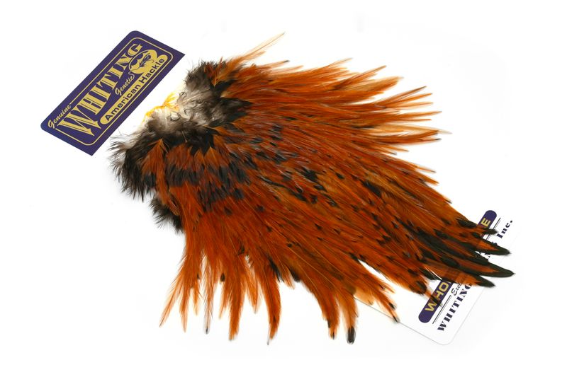 Whiting American Rooster Saddle â€“ dealerweb-cms-cd0da496-b241-4129-8606-cf3a6dfd6342.jpg